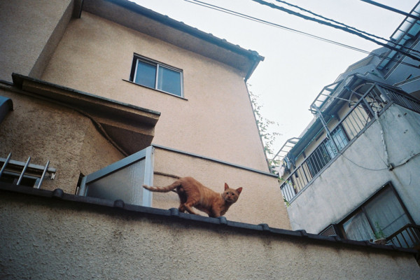 f:id:misaki-taku:20100725142443j:image