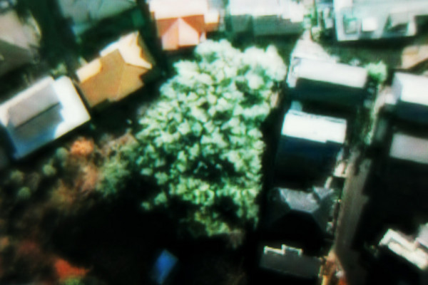 f:id:misaki-taku:20100731153915j:image
