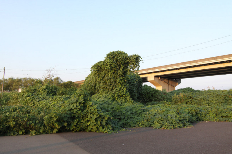 f:id:misaki-taku:20100904204822j:image f:id:misaki-taku:20100904204822j:image