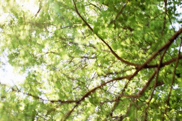 f:id:misaki-taku:20110515215711j:image