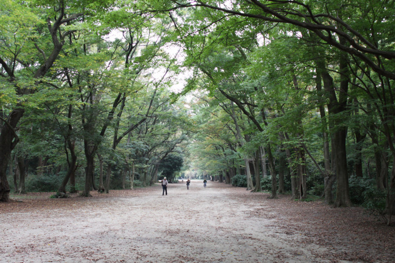 f:id:misaki-taku:20111106144733j:image f:id:misaki-taku:20111106144733j:image