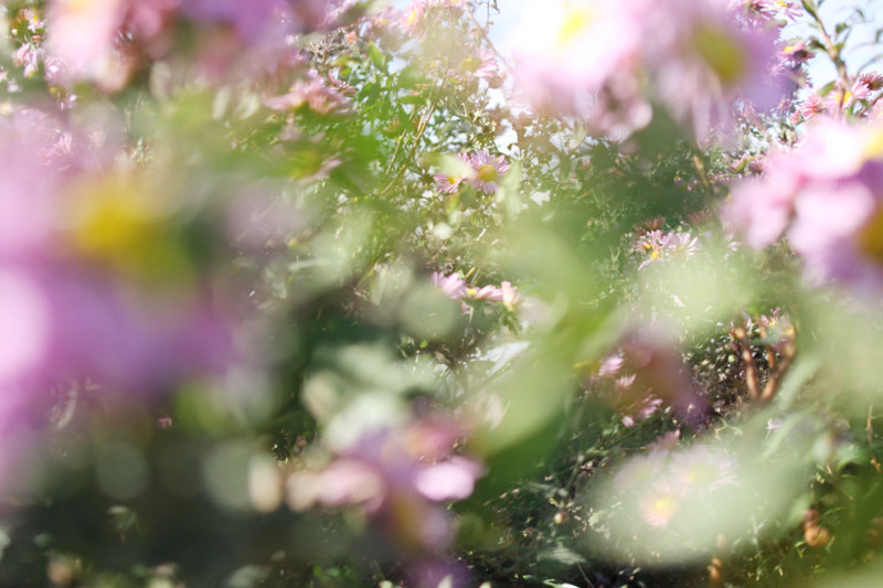 f:id:misaki-taku:20111112175140j:image