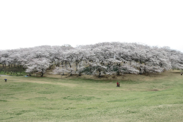f:id:misaki-taku:20130330112837j:image f:id:misaki-taku:20130330112837j:image
