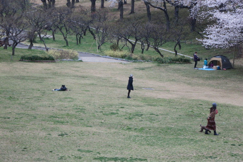 f:id:misaki-taku:20130330112840j:image f:id:misaki-taku:20130330112840j:image