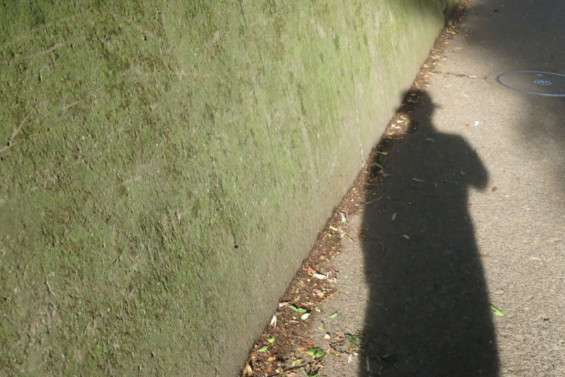 f:id:misaki-taku:20130512210643j:image f:id:misaki-taku:20130512210643j:image