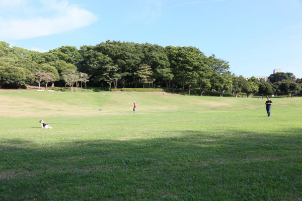 f:id:misaki-taku:20130817233521j:image