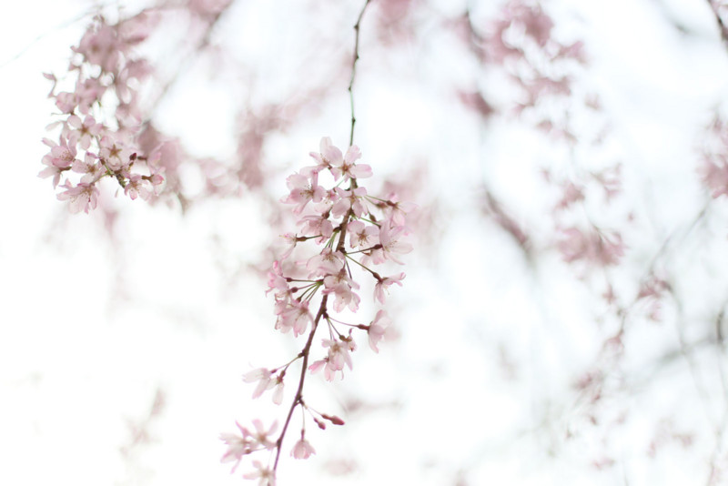 f:id:misaki-taku:20140405100356j:image