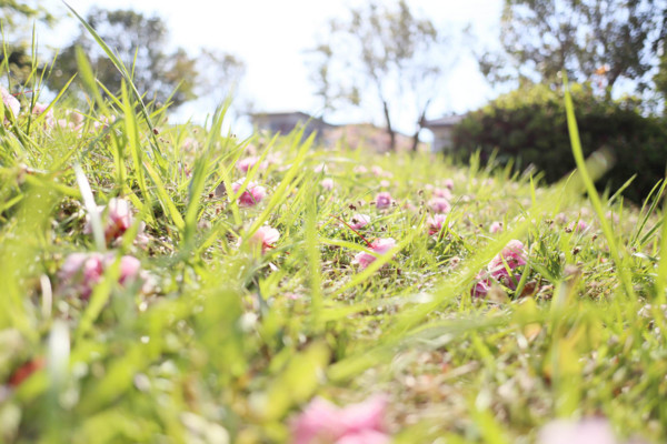 f:id:misaki-taku:20140427193236j:image