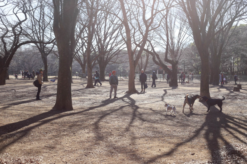 f:id:misaki-taku:20150114205407j:image f:id:misaki-taku:20150114205407j:image
