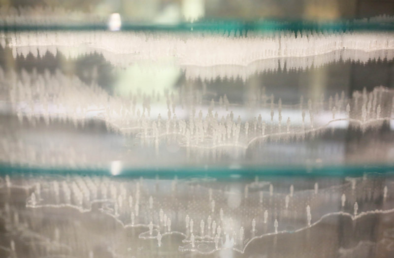 f:id:misaki-taku:20170114120347j:image