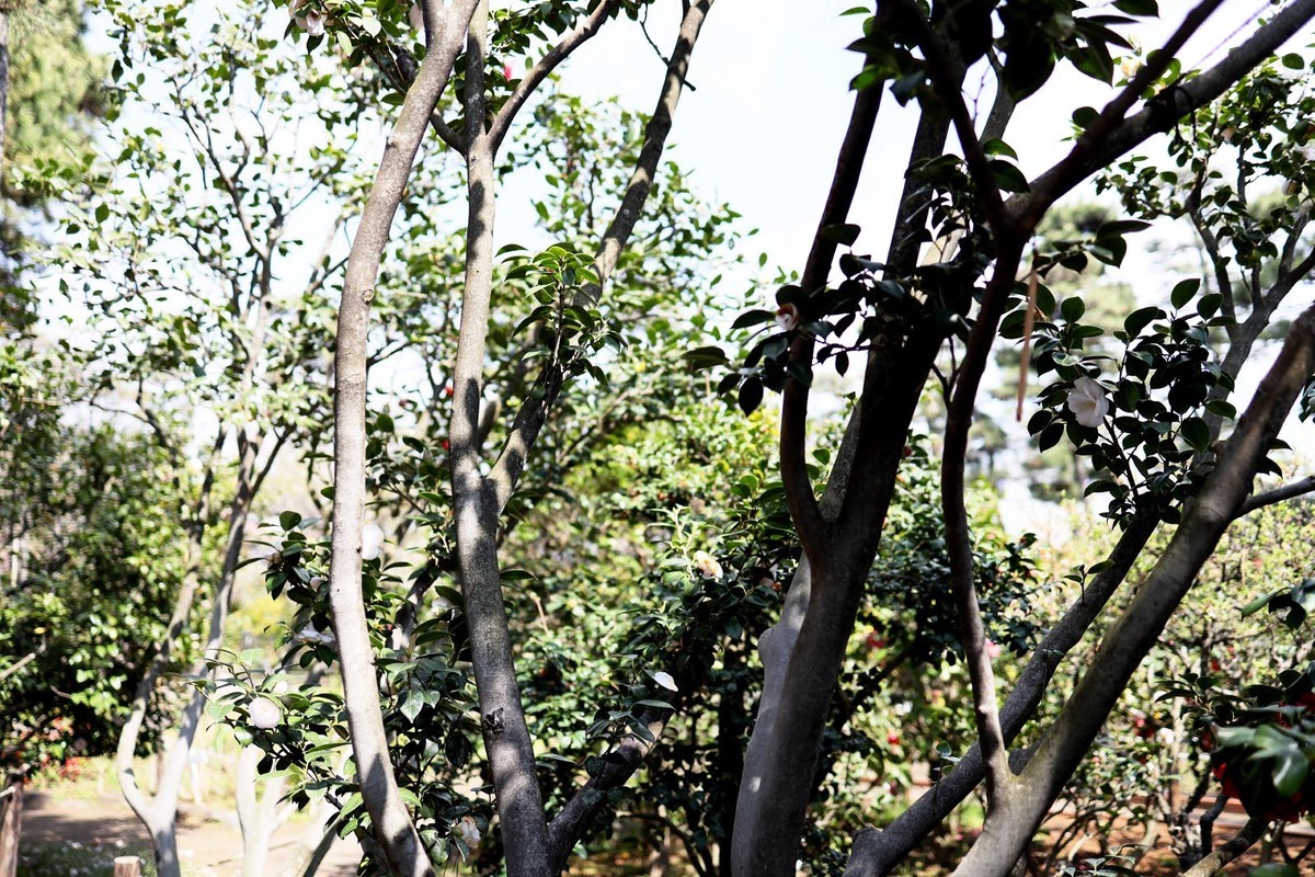 f:id:misaki-taku:20190331171047j:plain f:id:misaki-taku:20190331171047j:plain