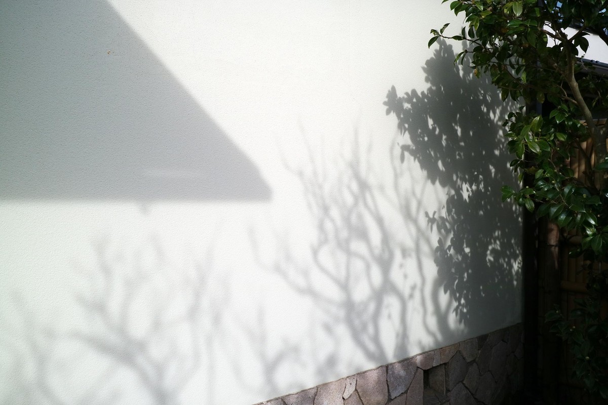 f:id:misaki-taku:20201220190310j:plain