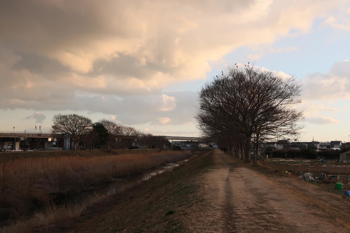 f:id:misaki-taku:20210121210326j:plain