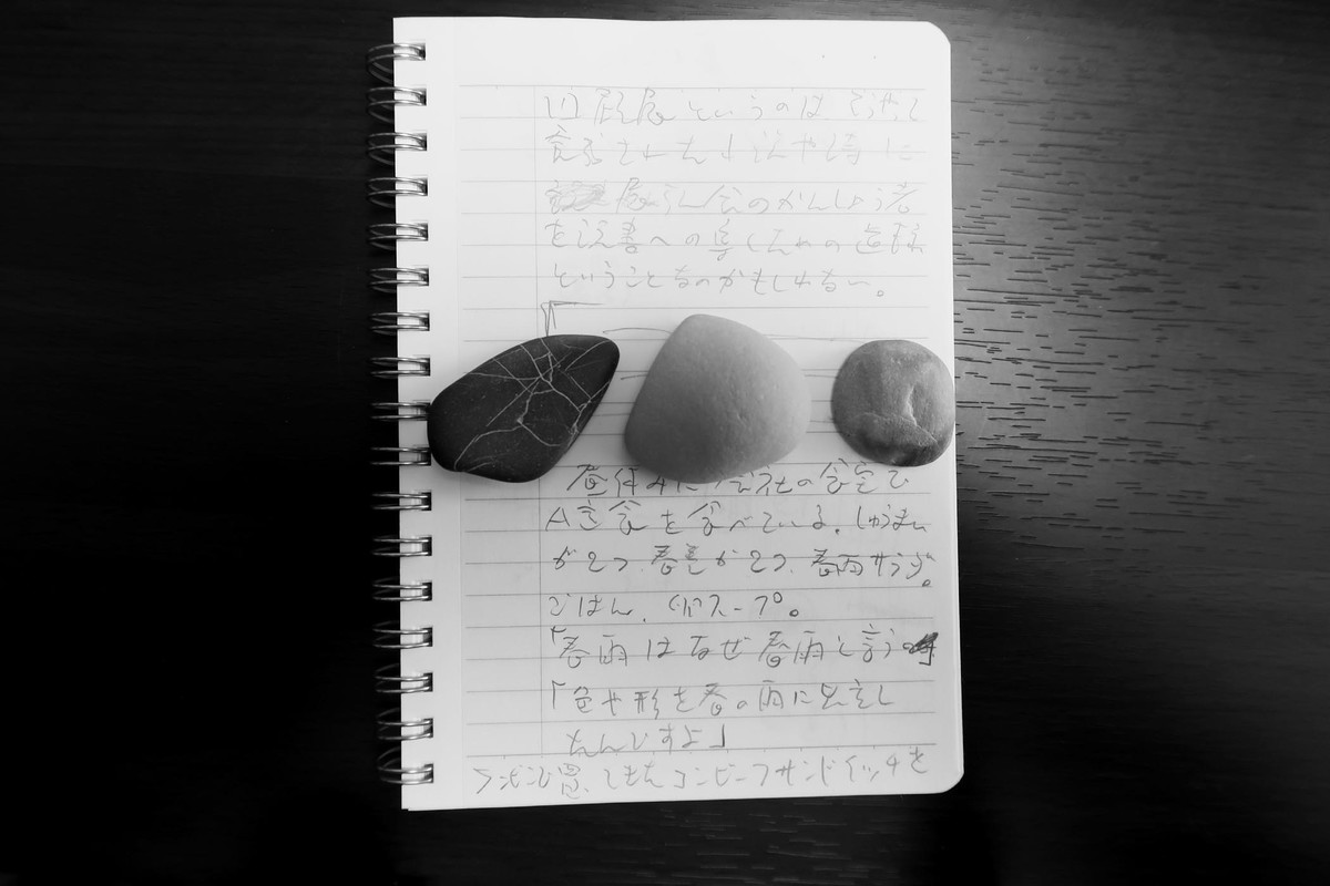 f:id:misaki-taku:20210512173832j:plain