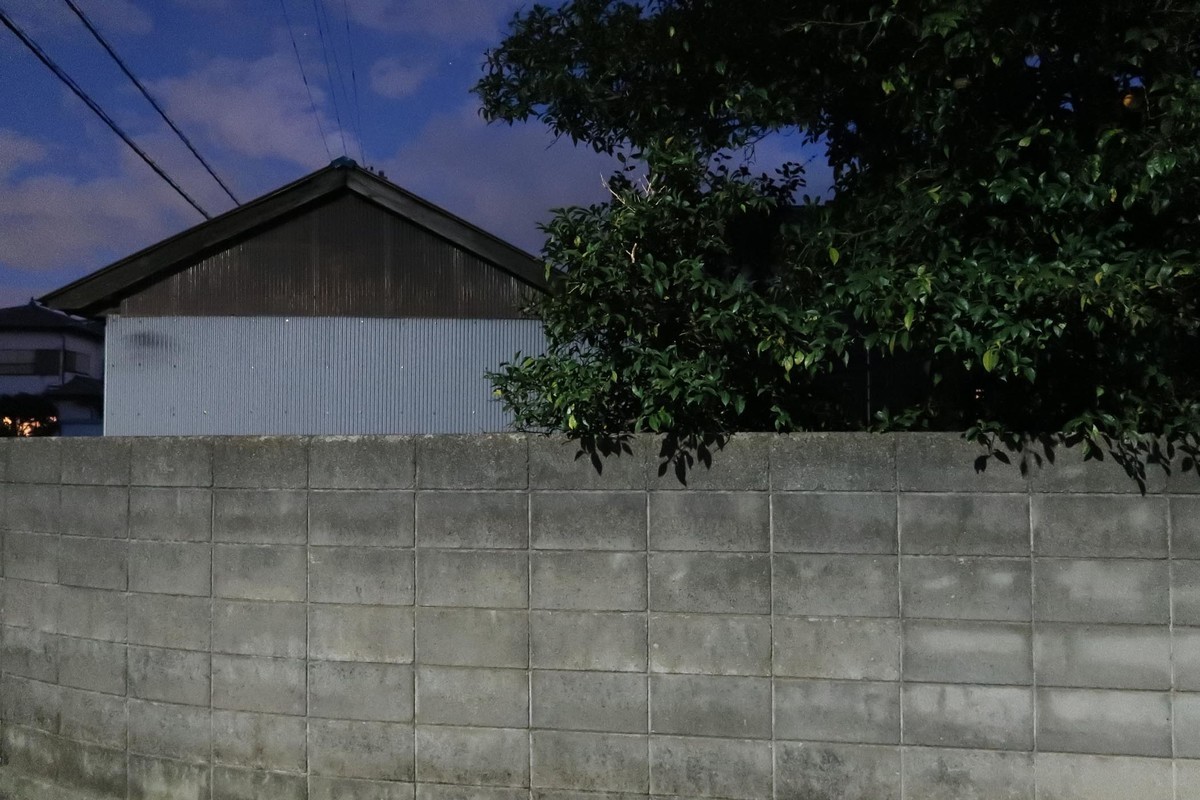 f:id:misaki-taku:20220119214709j:plain