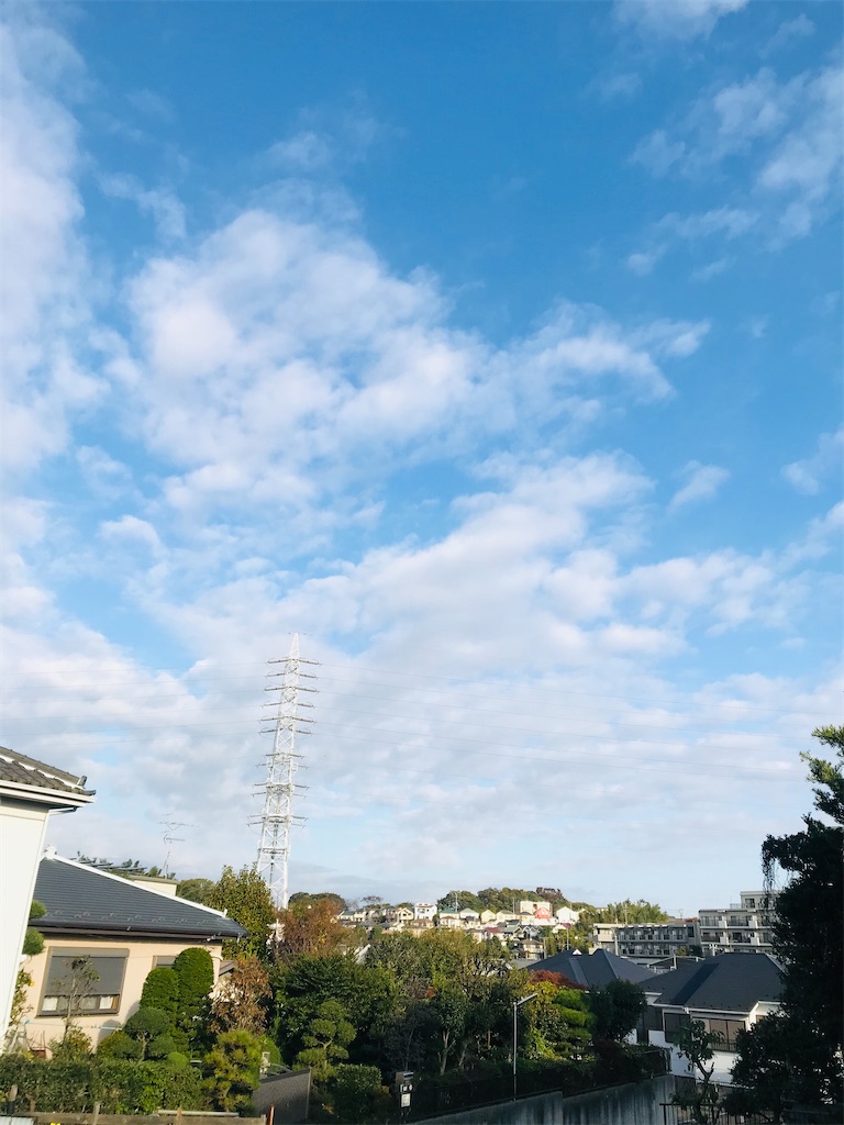 f:id:misaki731:20201113084703j:image