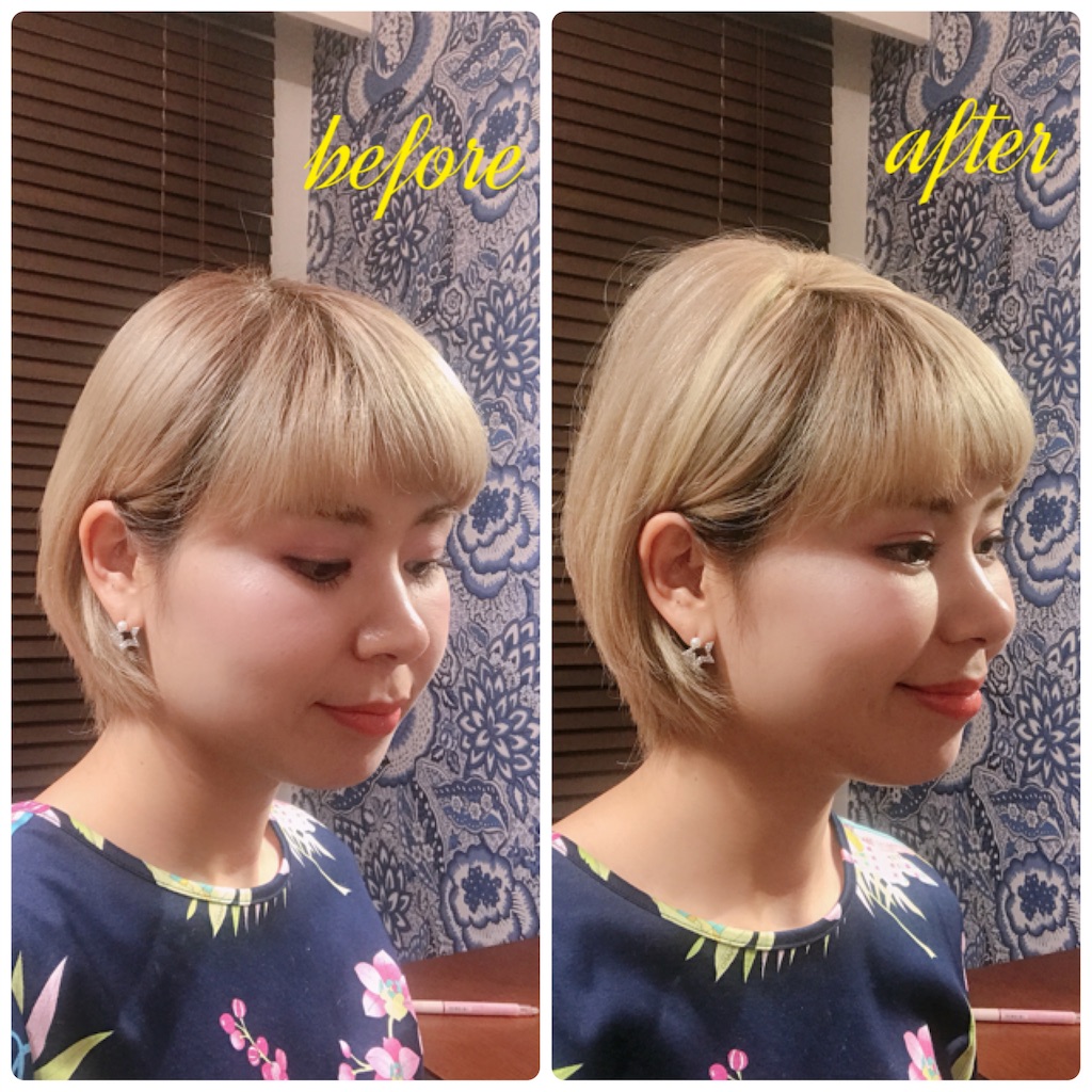 f:id:misakikohama:20190615012031j:image f:id:misakikohama:20190615012031j:image