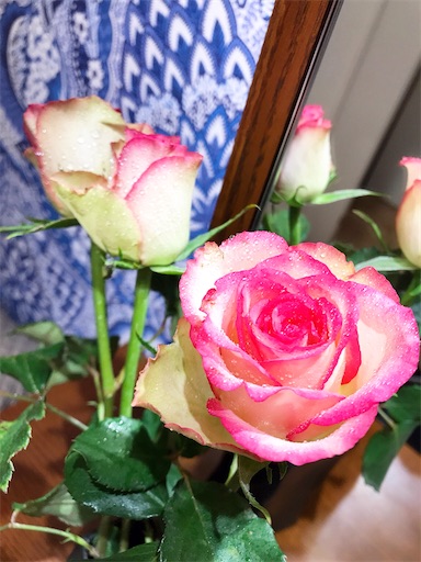 f:id:misakikohama:20201202180650j:image f:id:misakikohama:20201202180650j:image