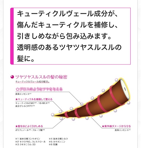 f:id:misakikohama:20210211001552j:image f:id:misakikohama:20210211001552j:image