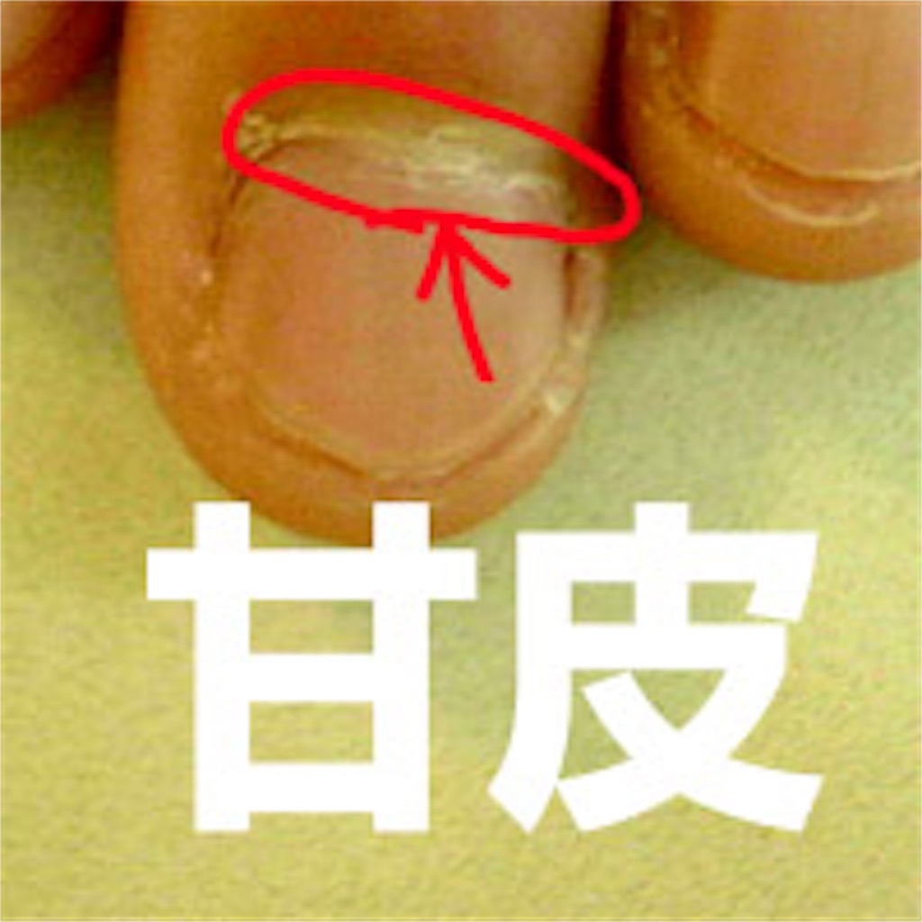 素爪のススメ 自分を好きになるネイルケア セルフリライアンス もっと自分を好きになる方法
