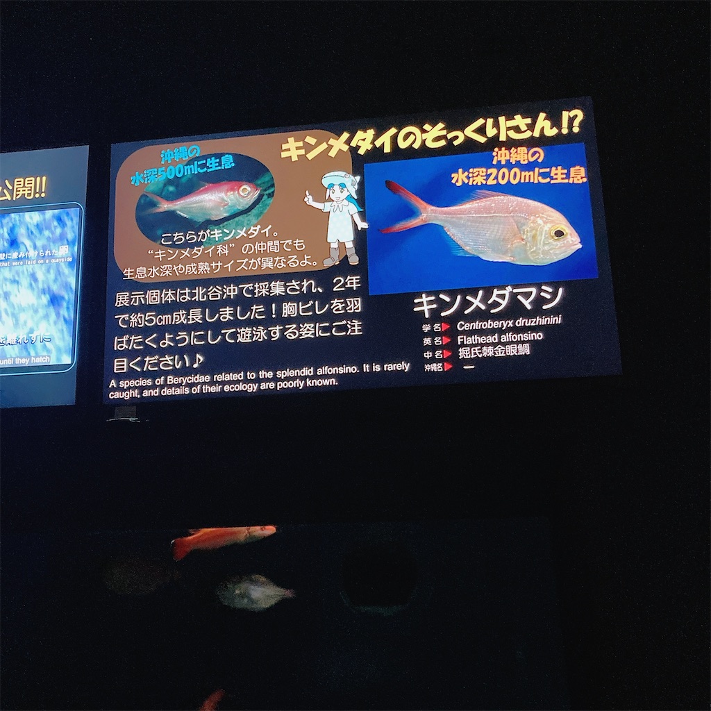 f:id:misako_ol:20251210192929j:image