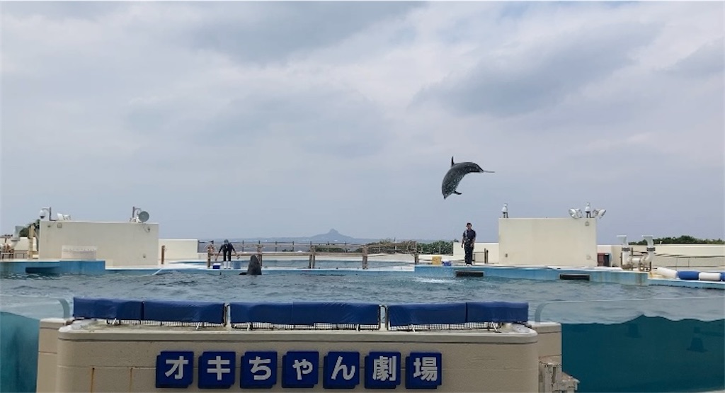 f:id:misako_ol:20251210193156j:image