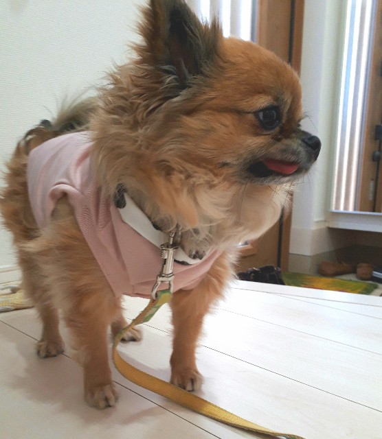 f:id:misami-33:20210124024527j:plain