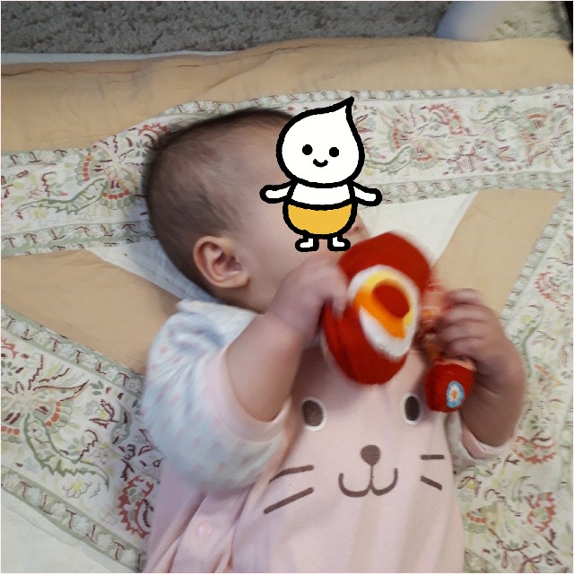 f:id:misami-33:20210209143707j:plain