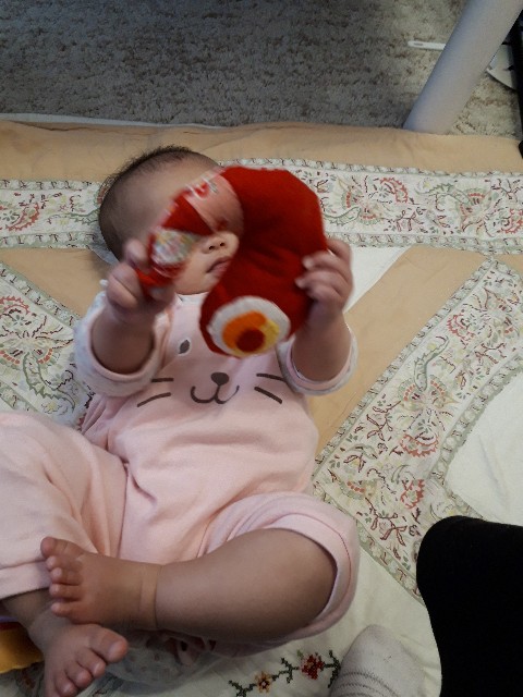 f:id:misami-33:20210209143708j:plain