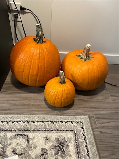 f:id:misami-33:20221026153043j:image f:id:misami-33:20221026153043j:image