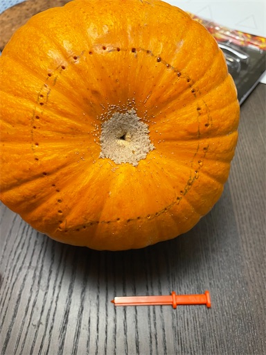 f:id:misami-33:20221031025118j:image