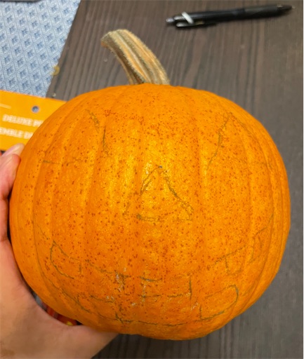 f:id:misami-33:20221031025130j:image f:id:misami-33:20221031025130j:image