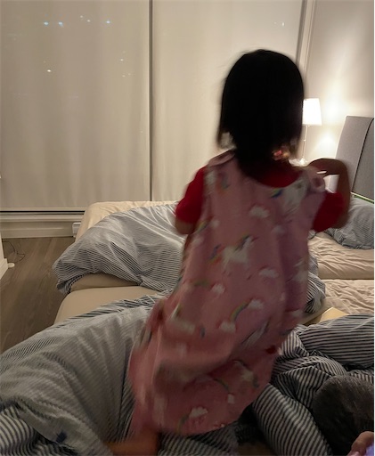 f:id:misami-33:20221115153225j:image