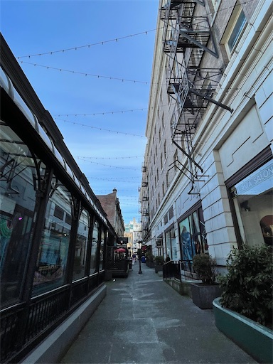 f:id:misami-33:20230227151022j:image f:id:misami-33:20230227151022j:image