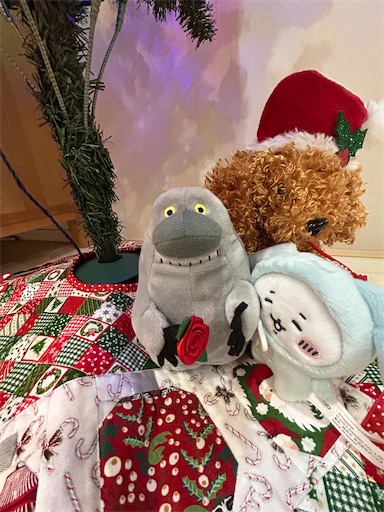 f:id:misami-33:20231201233022j:image f:id:misami-33:20231201233022j:image