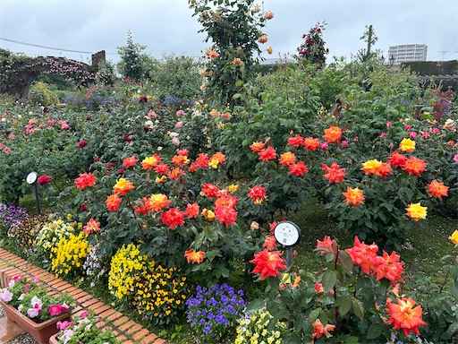 f:id:misami-33:20240514211326j:image