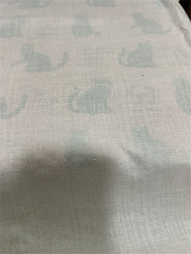 f:id:misami-33:20240709232111j:image f:id:misami-33:20240709232111j:image