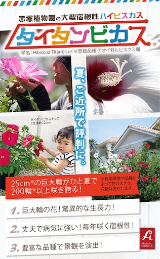 f:id:misami-33:20241014041628j:image