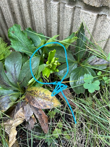 f:id:misami-33:20241117030237j:image f:id:misami-33:20241117030237j:image