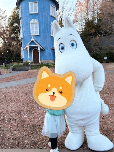 f:id:misami-33:20250310220438j:image