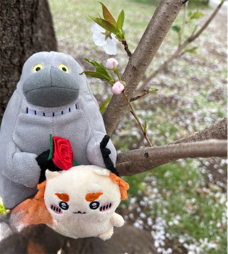 f:id:misami-33:20250418232707j:image
