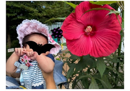 f:id:misami-33:20250801123721j:image f:id:misami-33:20250801123721j:image