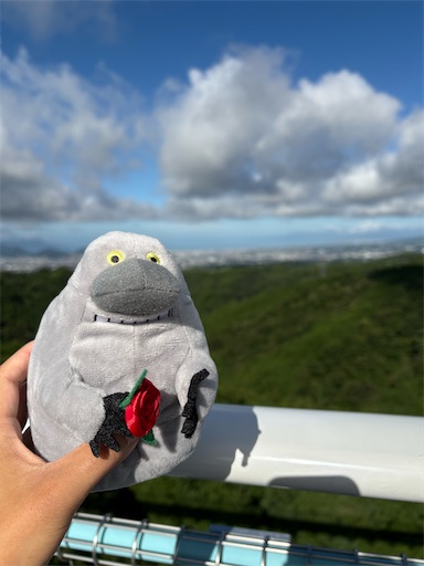 f:id:misami-33:20250802215649j:image f:id:misami-33:20250802215649j:image