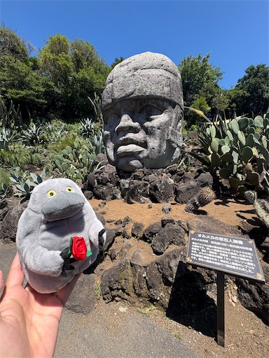 f:id:misami-33:20250802220246j:image f:id:misami-33:20250802220246j:image