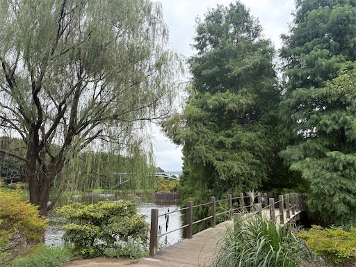 f:id:misami-33:20250920172123j:image