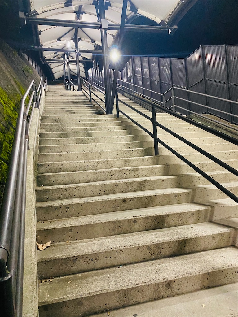 f:id:misarinco:20241004205757j:image