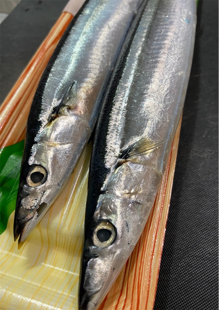 f:id:misarinco:20251009070732j:image