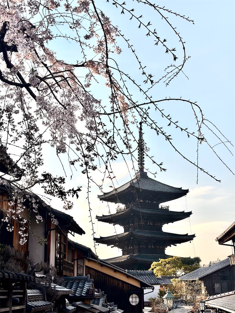 f:id:misarinco:20260411135922j:image