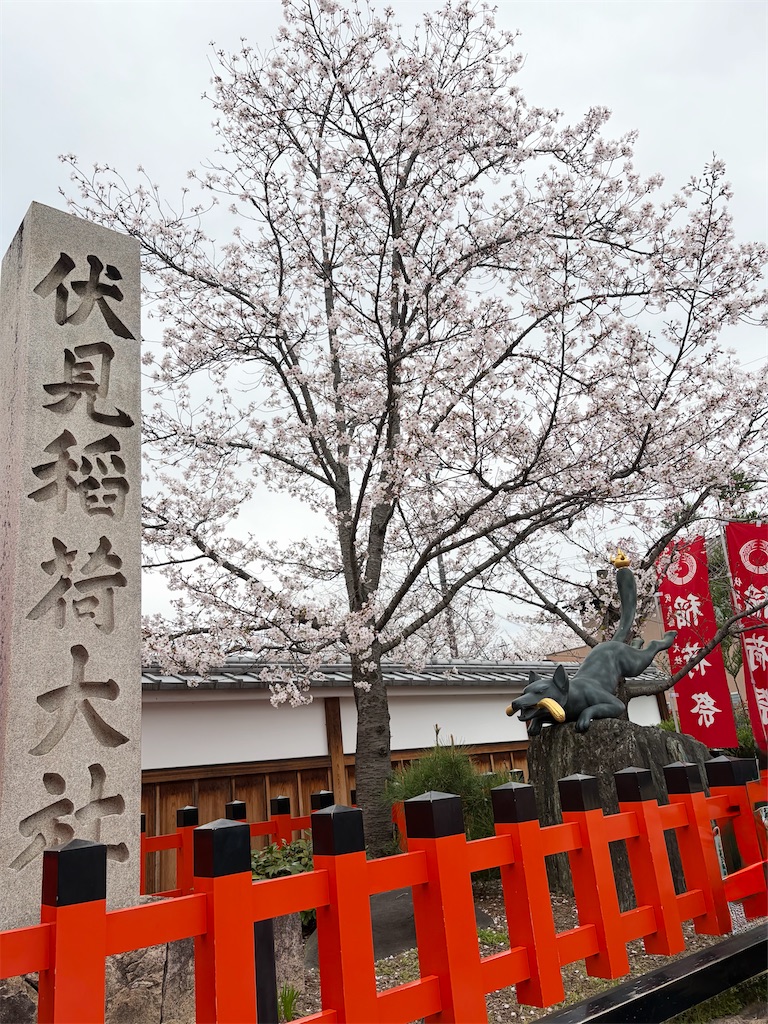 f:id:misarinco:20260417074120j:image