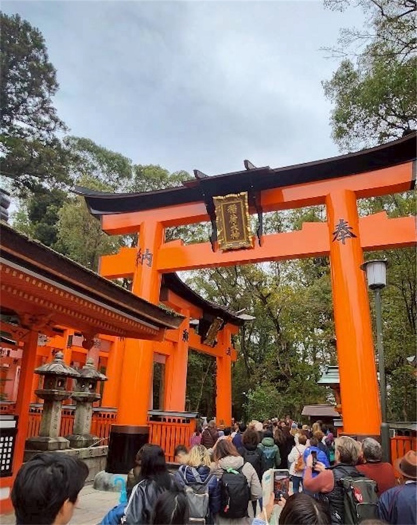 f:id:misarinco:20260417075543j:image